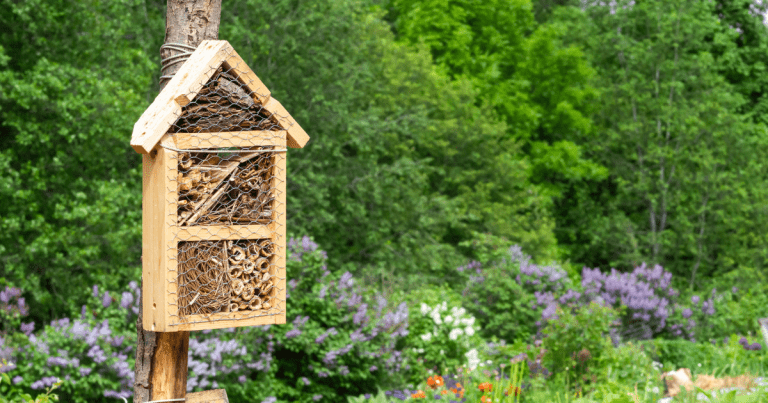 Simplepollinator Box How to Create a Pollinator Garden in 5 Easy Steps | Star Nursery Garden ...