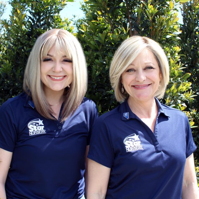 Star Nursery Local Garden Centers