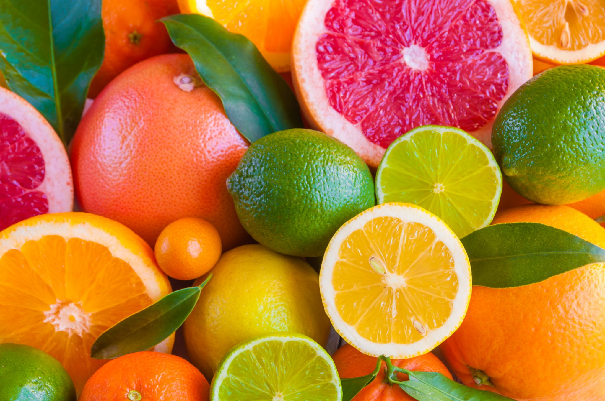 The Ultimate Guide to Fruit and Citrus Trees | Star Nursery Garden