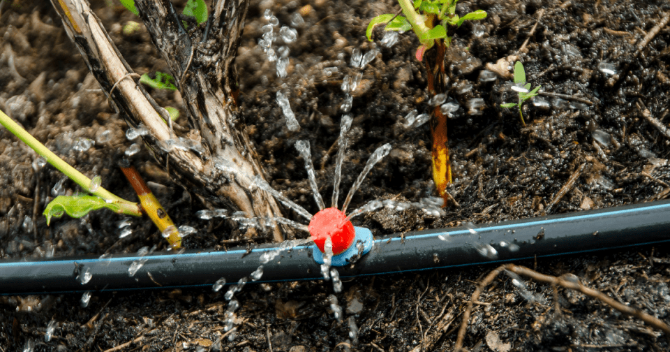 drip irrigation tubing and emitter